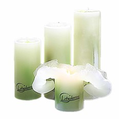 Zeige Details für Lotuskerze Pastell Bamboo Garden 23cm x Ø 7cm Bild von Lotuskerze Pastell Bamboo Garden 23cm x Ø 7cm