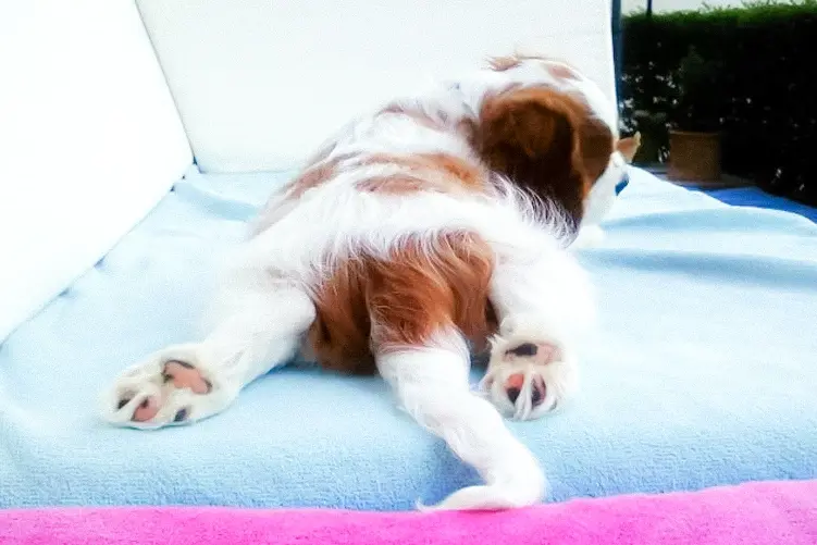 Worauf Du beim Mittagsschlaf achten solltest Worauf Du beim Mittagsschlaf achten solltest