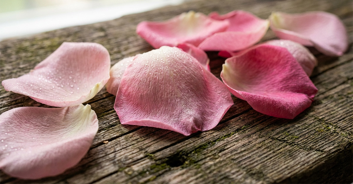 Deine essbaren Blüten und Kräuter – frisch aus dem Garten Bunte essbare Blüten und frische Kräuter auf Holztisch nach der Ernte, bereit zum Kochen