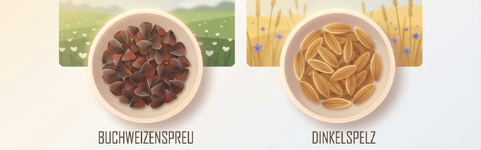 Illustration von Buchweizenspreu und Dinkelspelz in Schalen, mit Hintergrundbildern von Feldern.