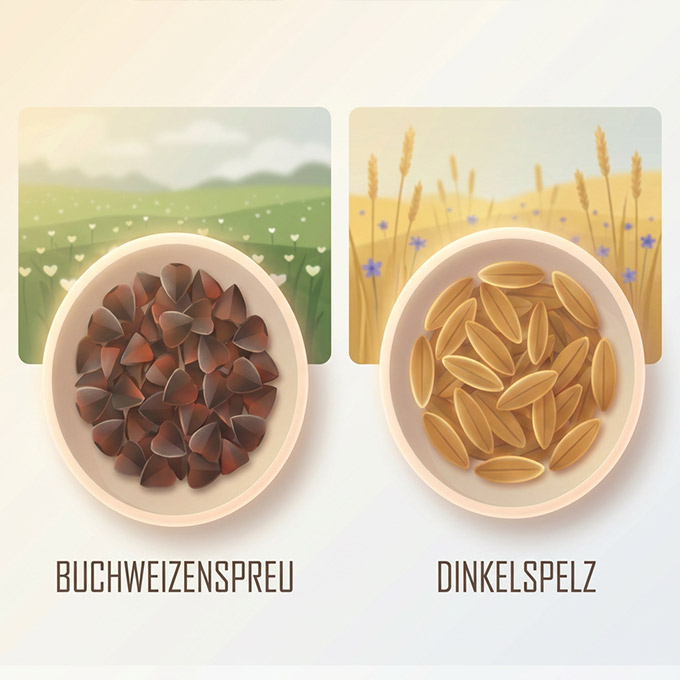 Vergleich von Buchweizenschalen und Dinkelspelzen in Schalen mit Hintergrundfeldern.