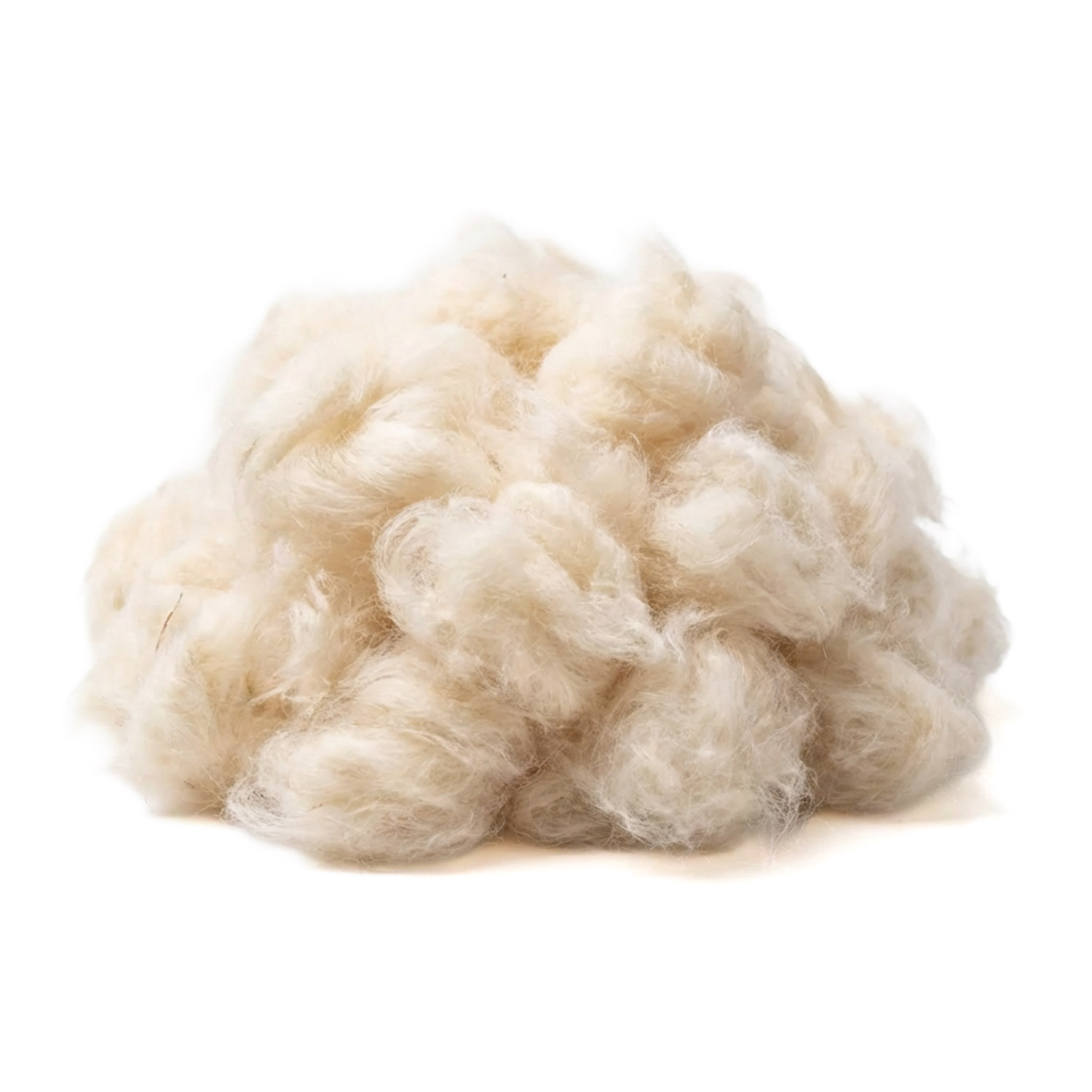 Bild von Kapok Pflanzendaunen