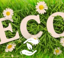 Schnell nachwachsende Naturprodukte für dein Yoga! Nachhaltig & umweltfreundlich - Naturfasermatten